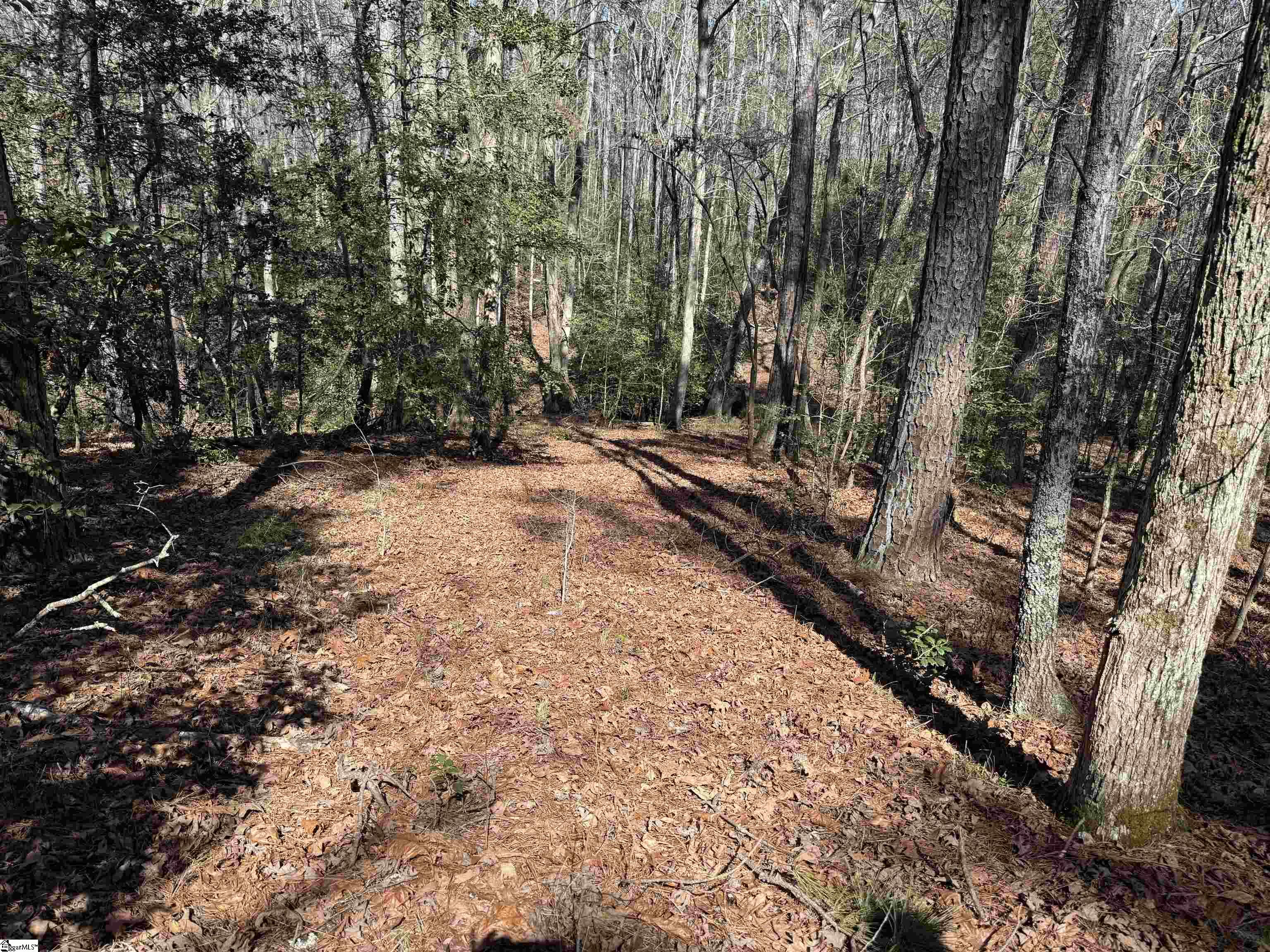 00 Golden Hickory Drive