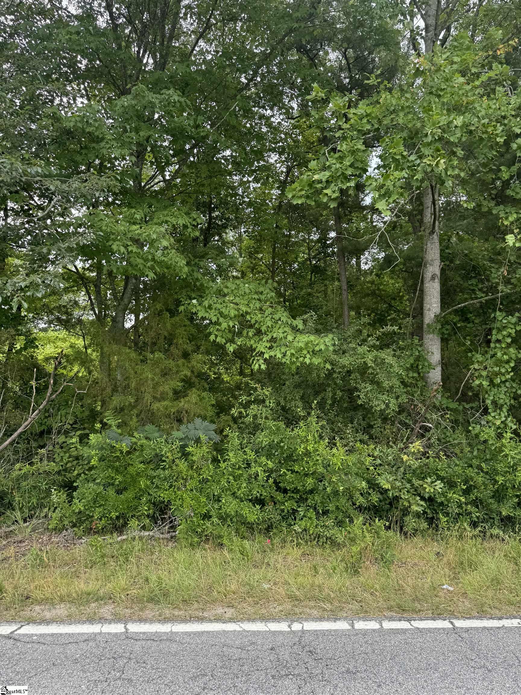 Photo 1 of 1 — 1587 Old Anderson Mill Road, Moore, SC 29369