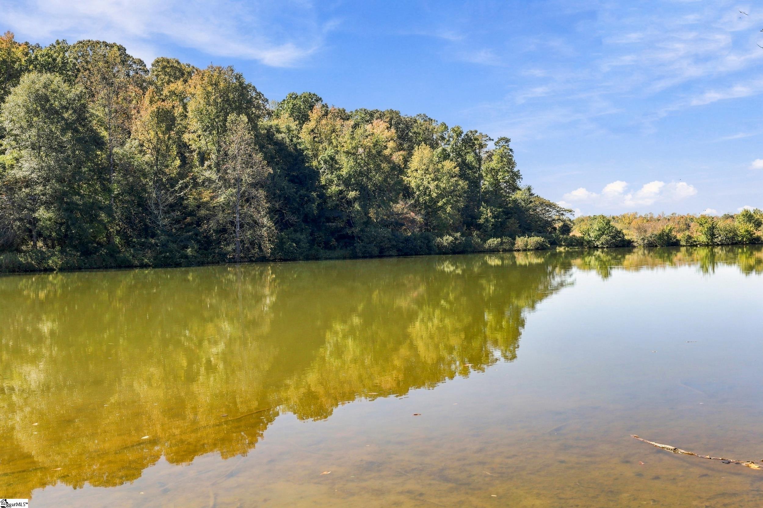 Real Estate Search 2 Tract 1c Five Forks Road