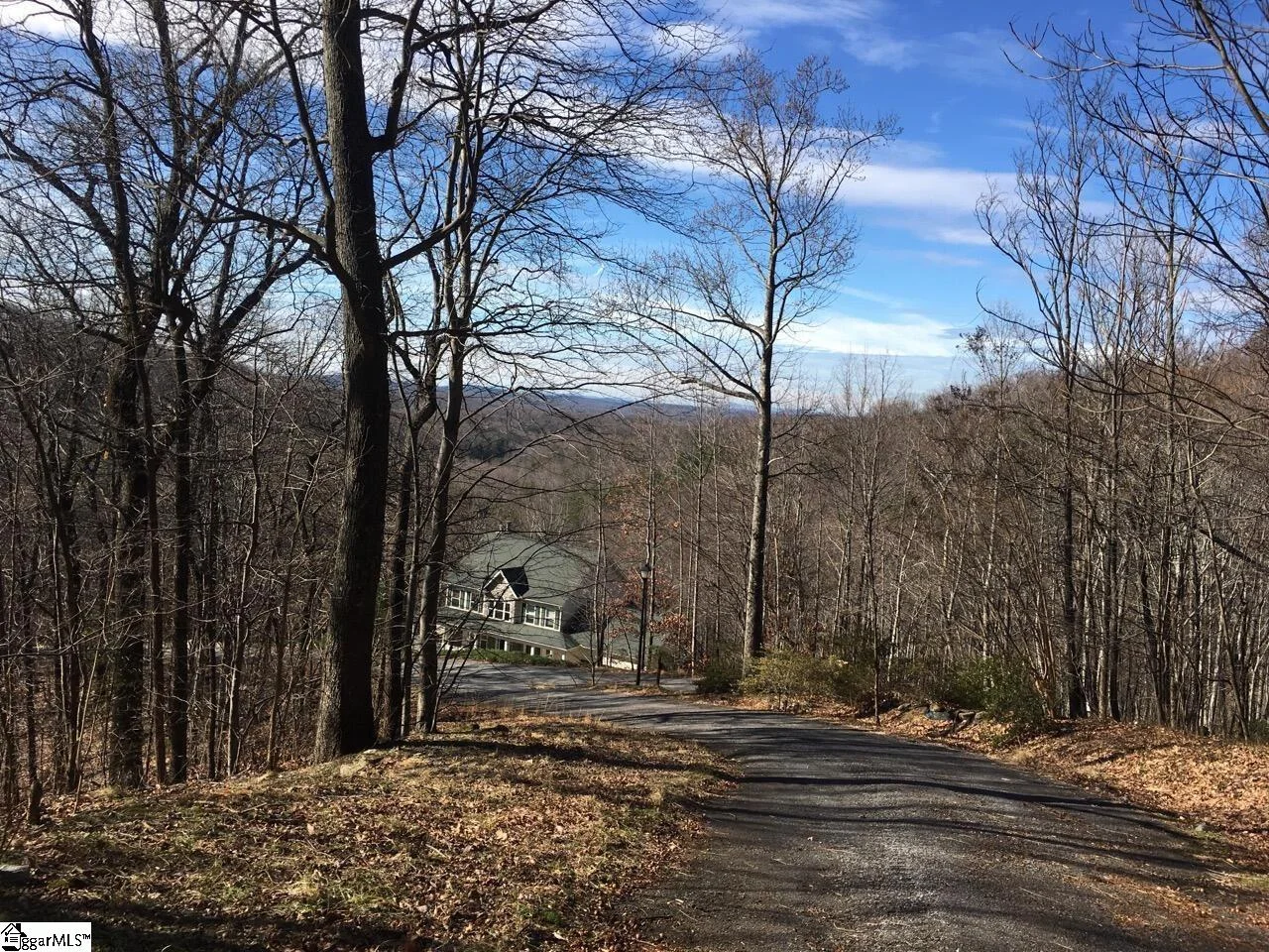 Lot 11 Laurel Hill Lane, Landrum, FL, 29356