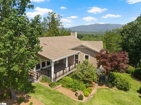 600 Packs Mountain Ridge Road Taylors SC 29687