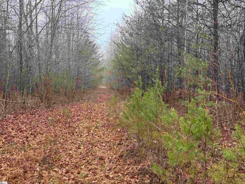Lot B Hwy 414 Landrum SC 29356