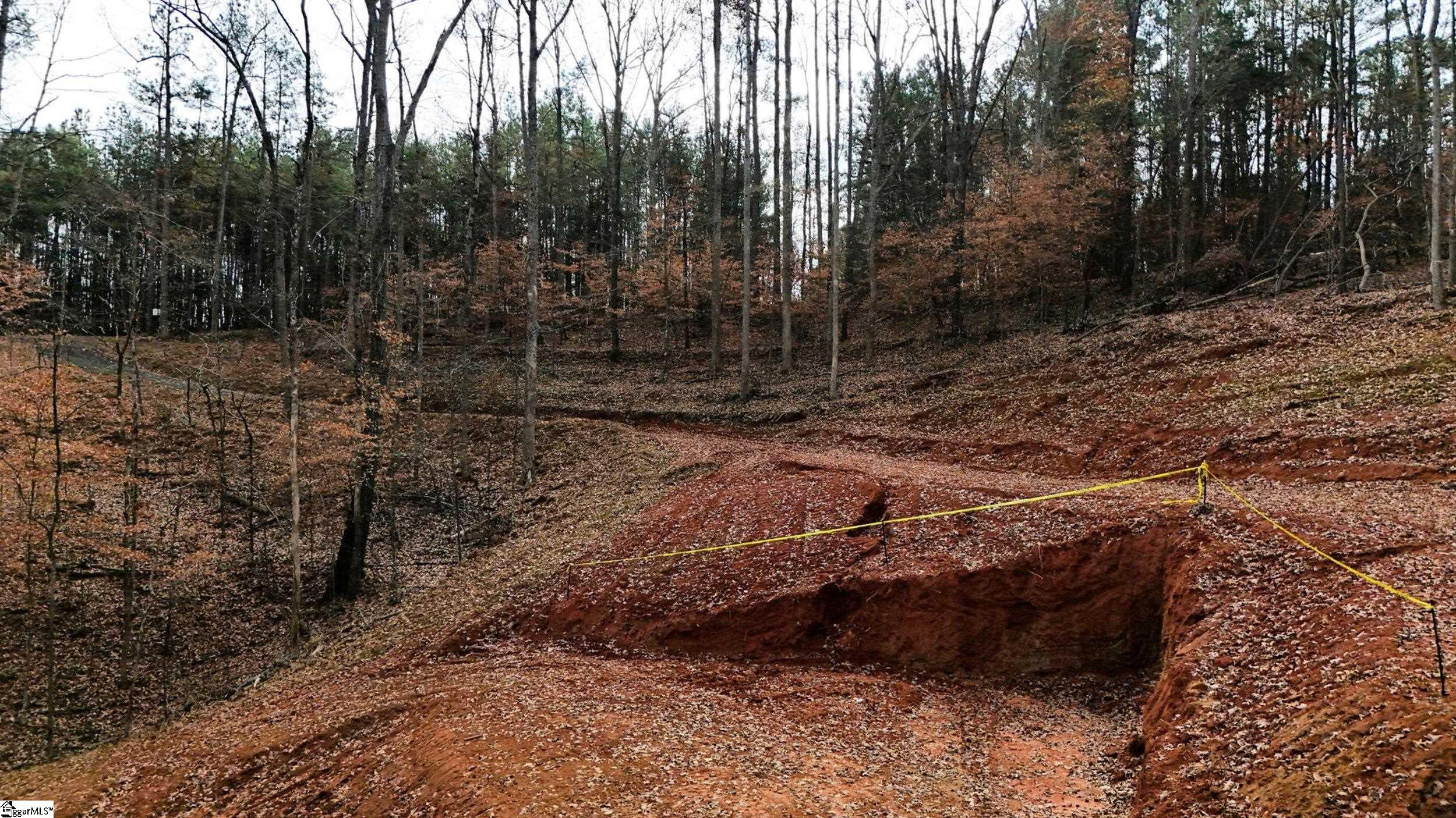 207 Loblolly Pine Drive