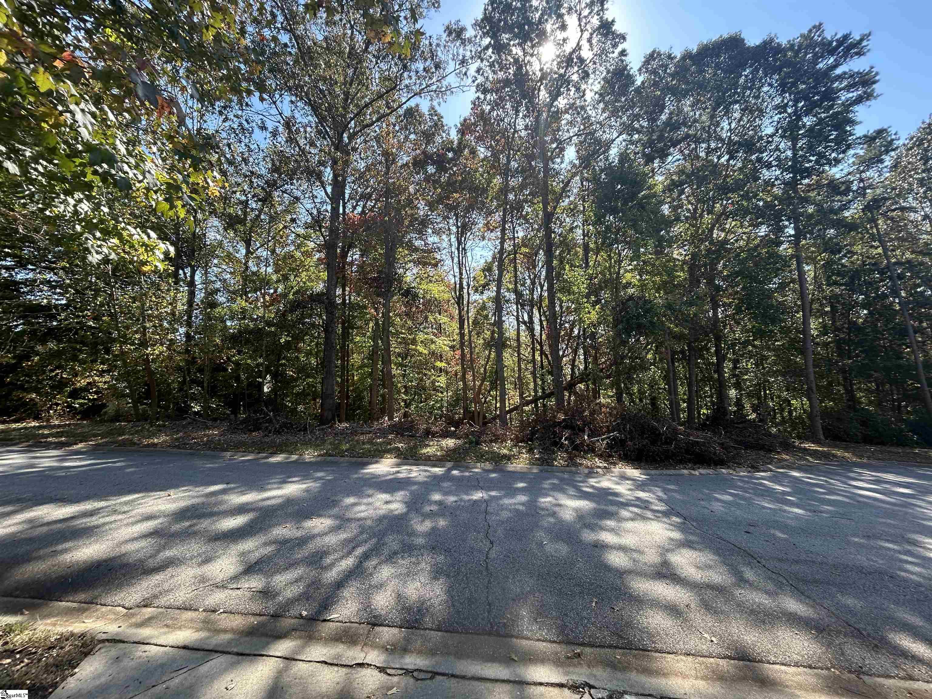 107 Woodland Hills Lane