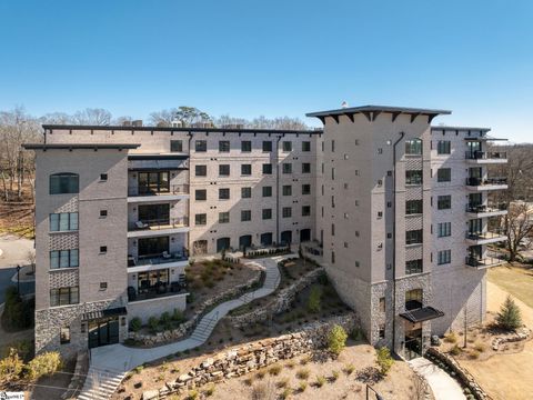 95 Dr. David C Francis Street Unit 206 Greenville SC 29601