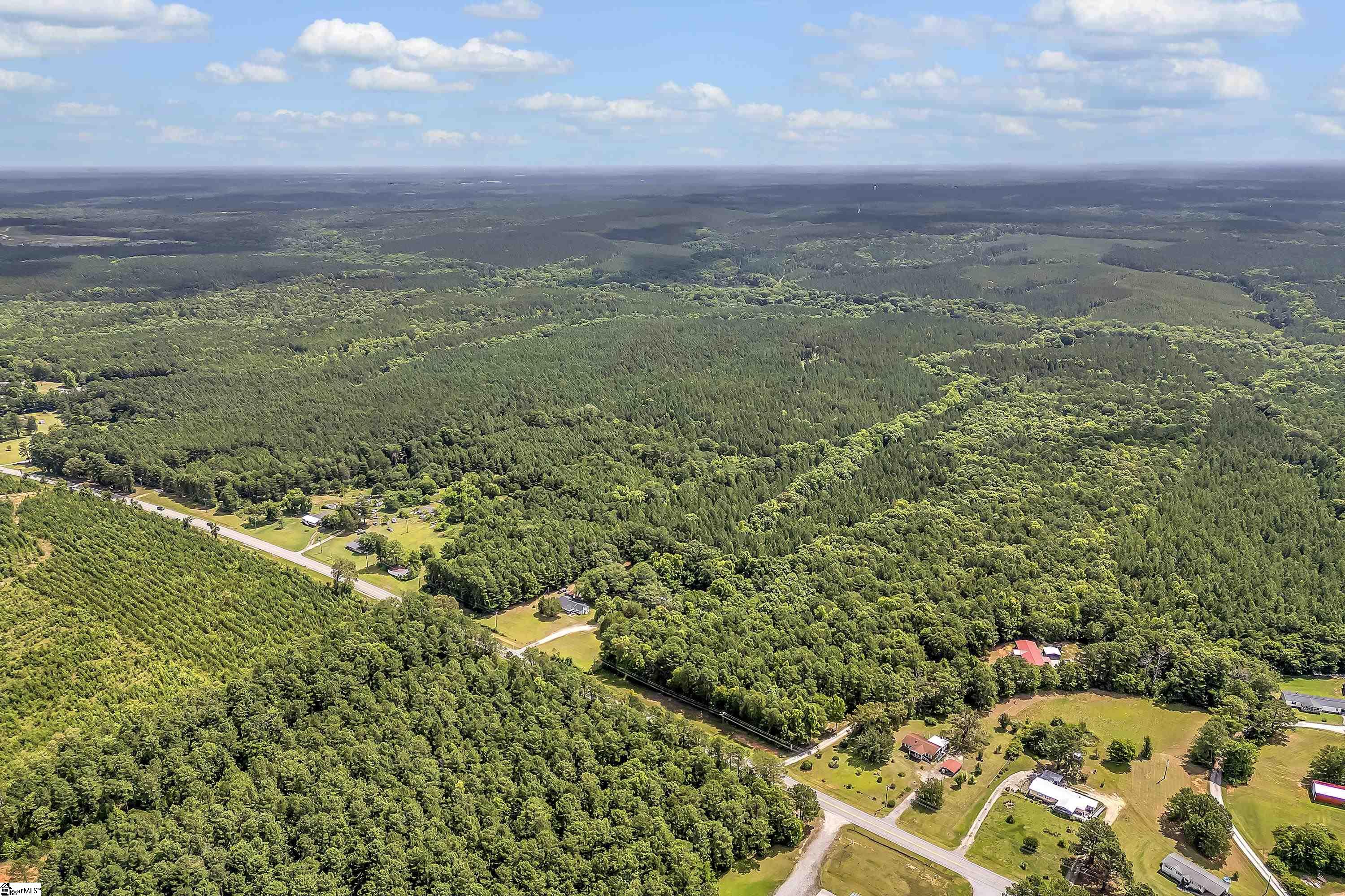 Waterloo, South Carolina 29384, United States, ,Land,Active,95234