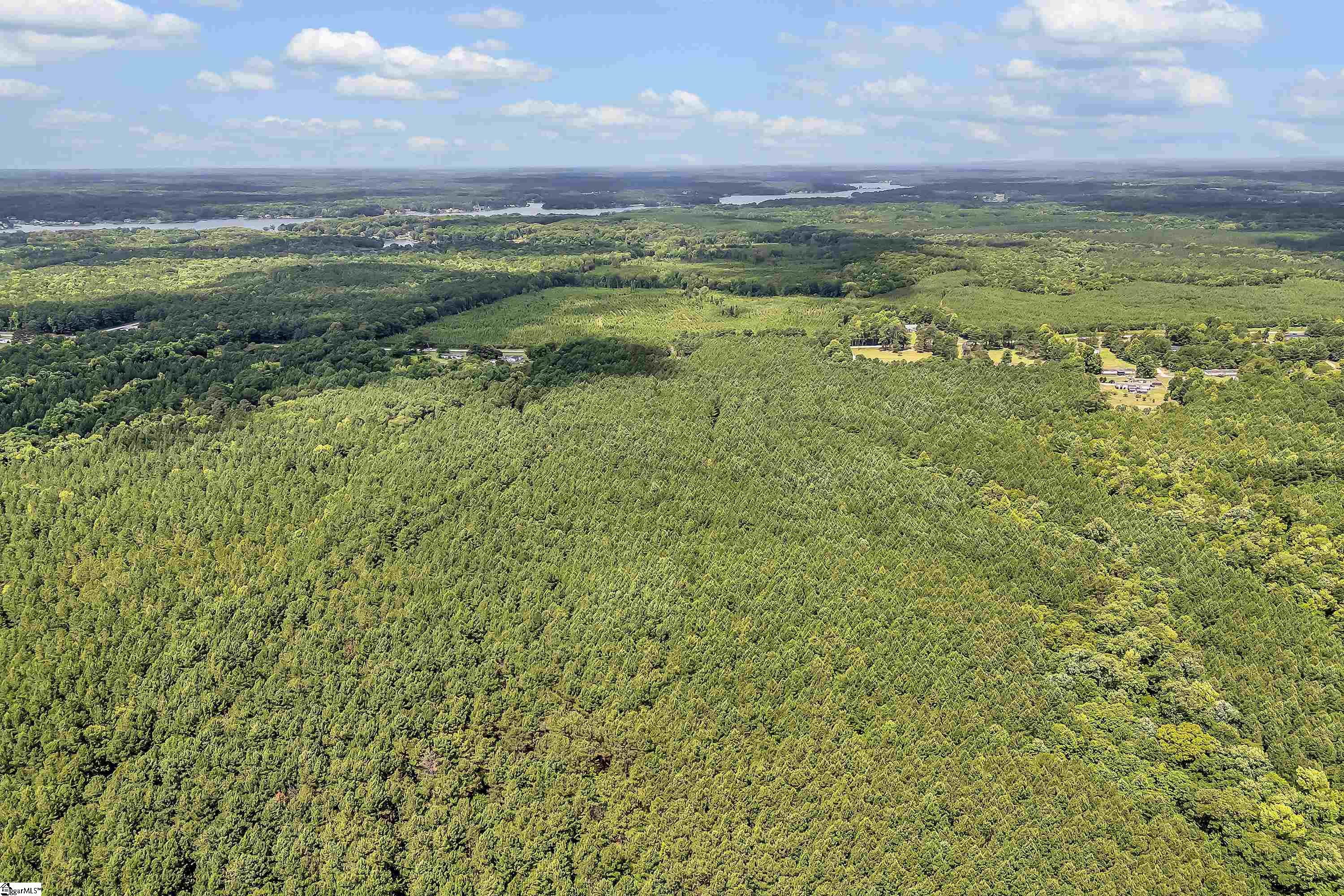 Waterloo, South Carolina 29384, United States, ,Land,Active,95234