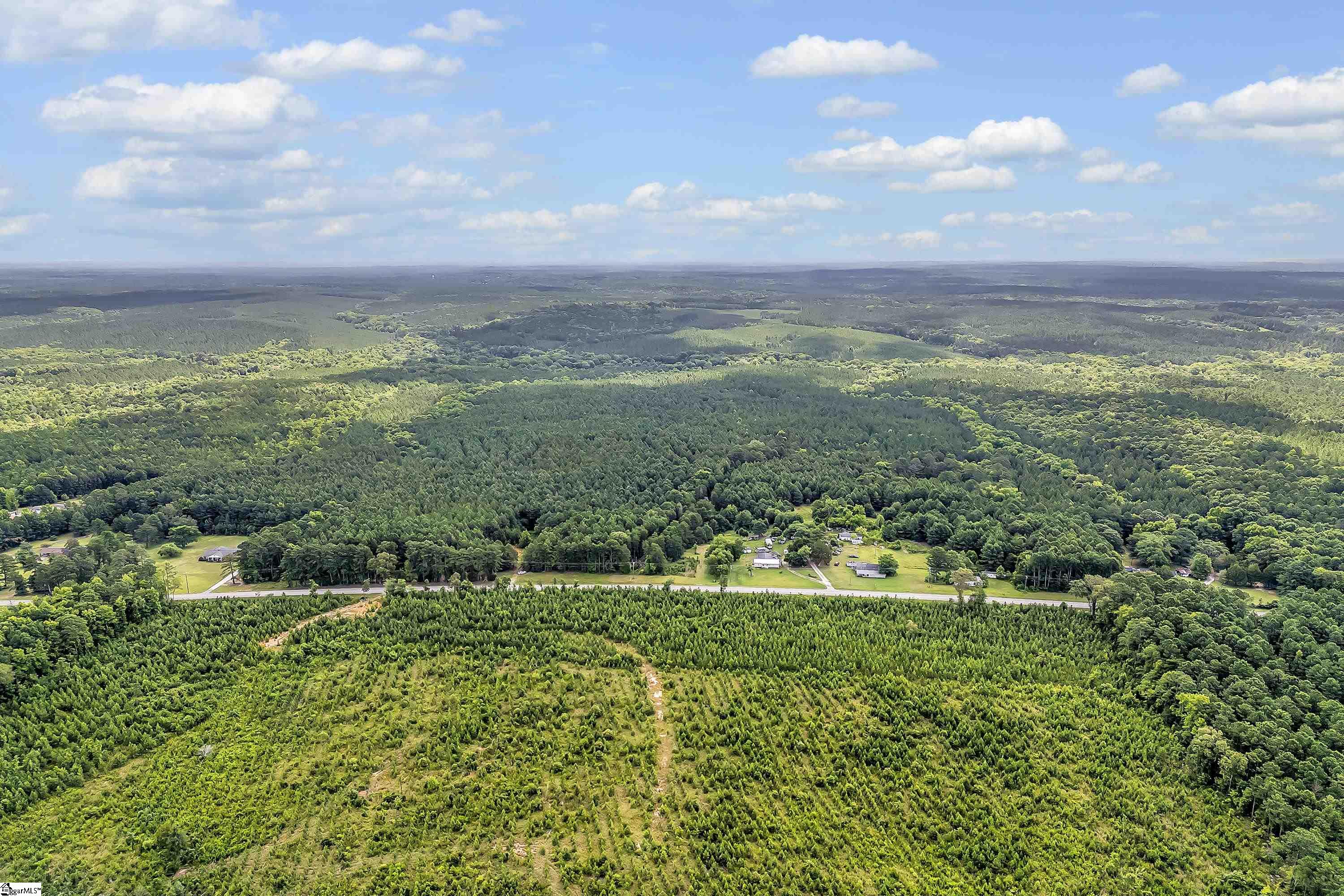 Waterloo, South Carolina 29384, United States, ,Land,Active,95234