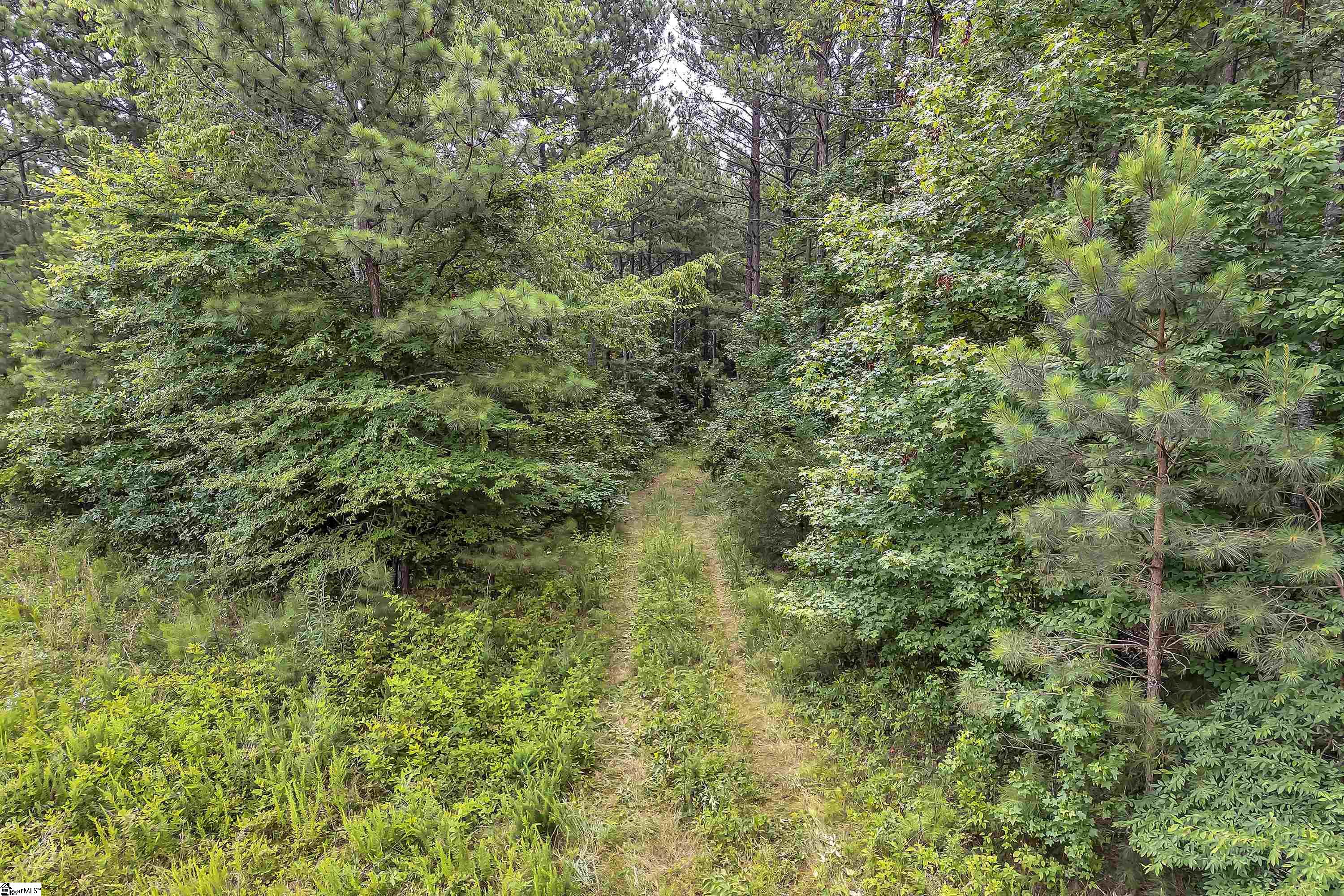 Waterloo, South Carolina 29384, United States, ,Land,Active,95234