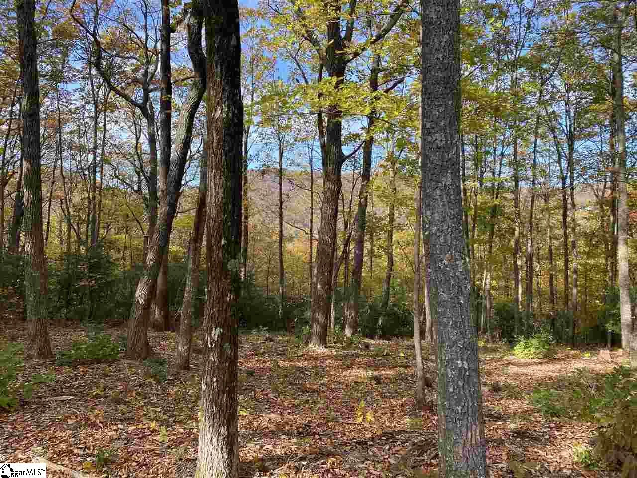 1526 Panther Park Trail