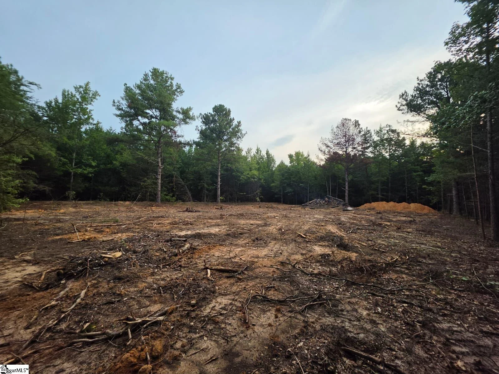00 Owens Drive, Laurens, FL, 29360