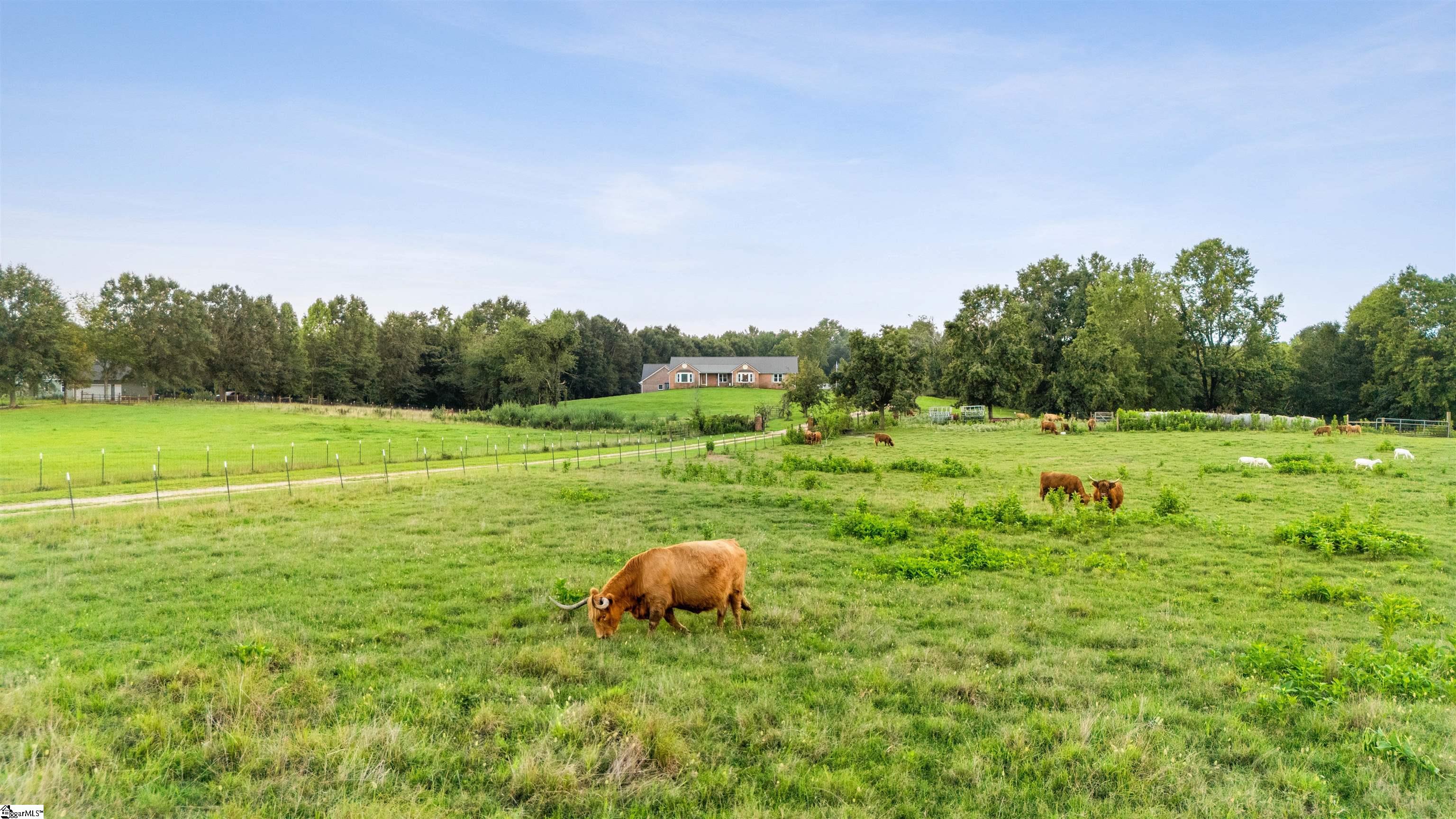 135 Glendarosa Drive