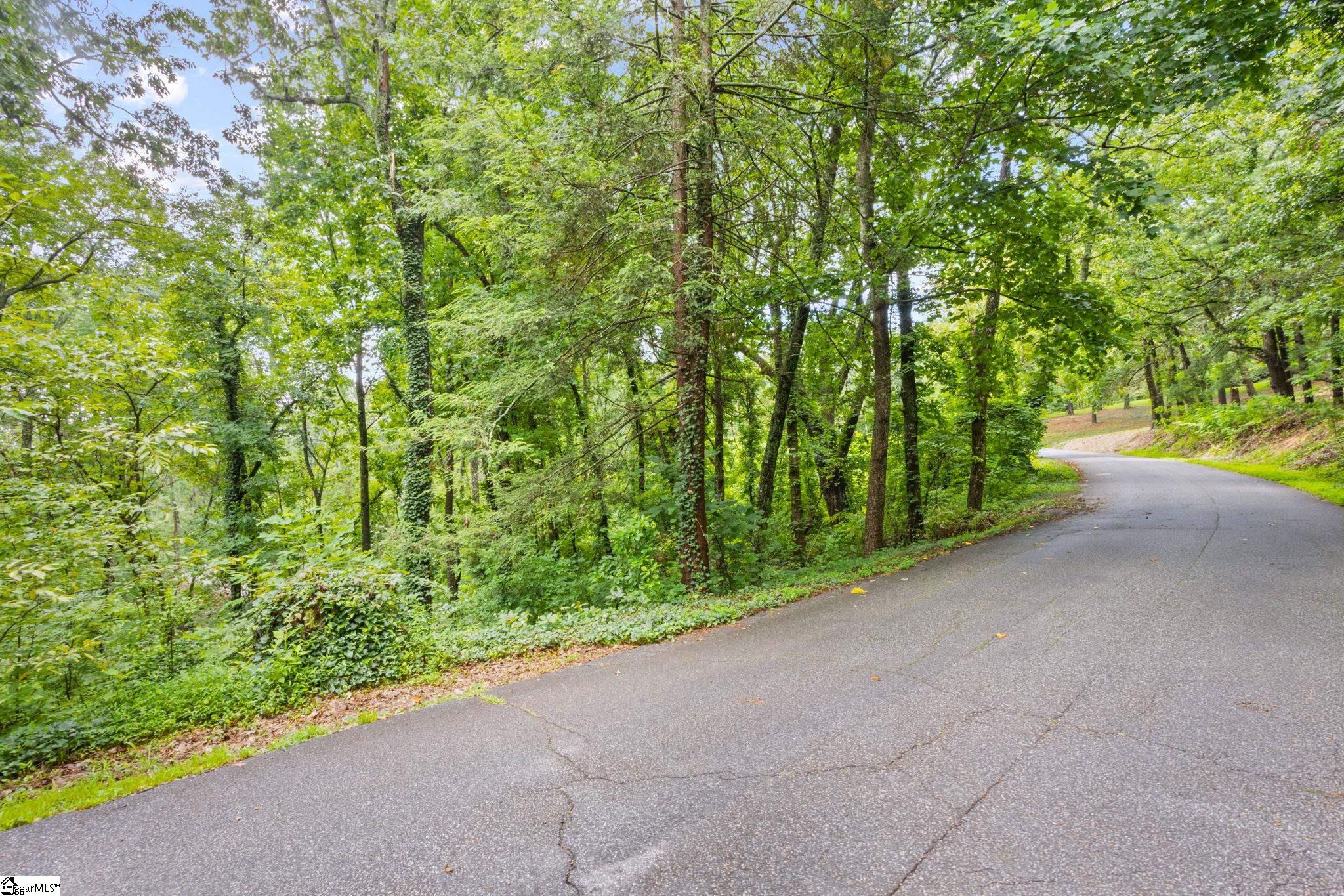 Greenville, South Carolina 29609, United States, ,Land,Active,191849