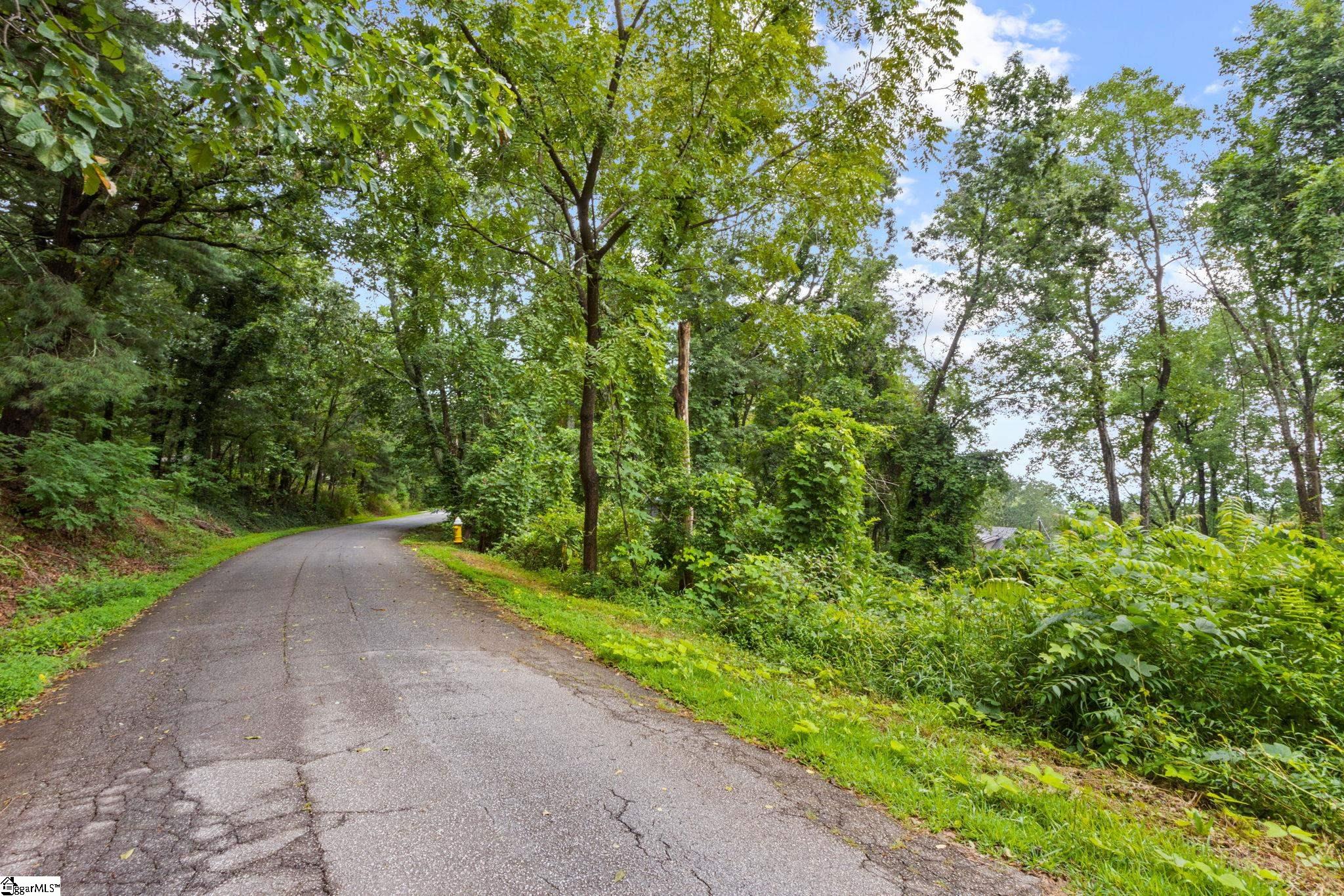 Greenville, South Carolina 29609, United States, ,Land,Active,191849