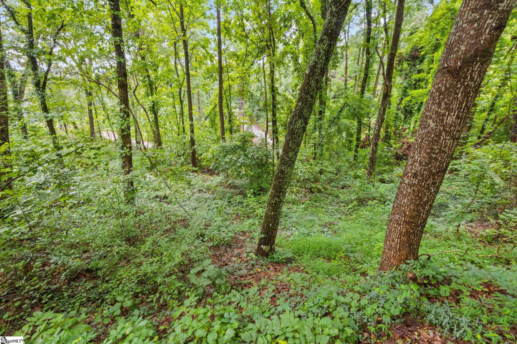 Greenville, South Carolina 29609, United States, ,Land,Active,191849