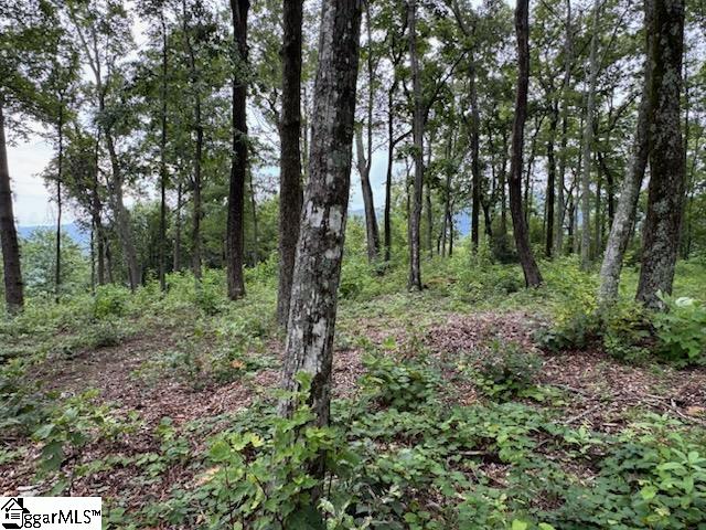 1534 Panther Park Trail