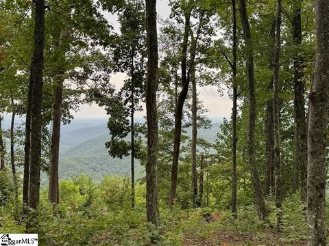 1534 Panther Park Trail Travelers Rest SC 29690