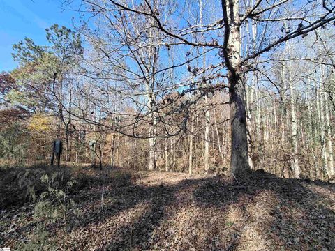 205 Spake Road Pendleton SC 29670