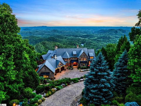 16 High Bluff Court Travelers Rest SC 29690