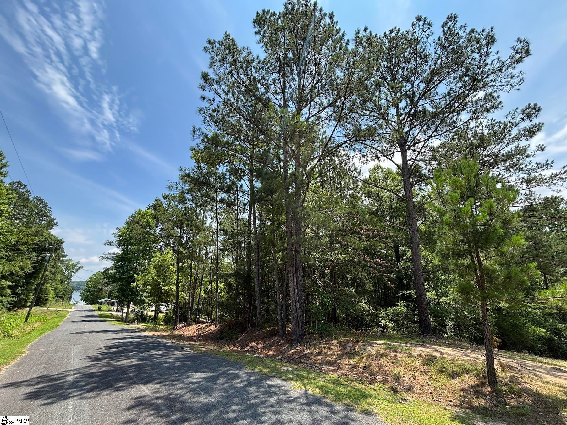 00 Serene Drive, Waterloo, SC, 29384