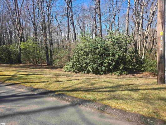 319 CLIFF RIDGE DR, CLEVELAND, SC 29635 - Image de49ccc48d787e868f6aae6e176c01aa/378400521