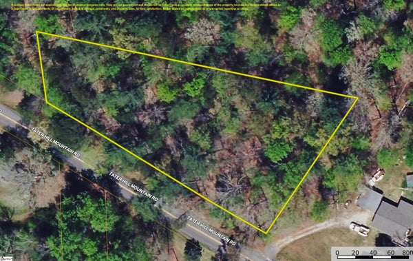 228 TATER HILL MOUNTAIN RD, PICKENS, SC 29671 - Image dfa065bfefa57e8df0c0d397d00773a7/2681476275