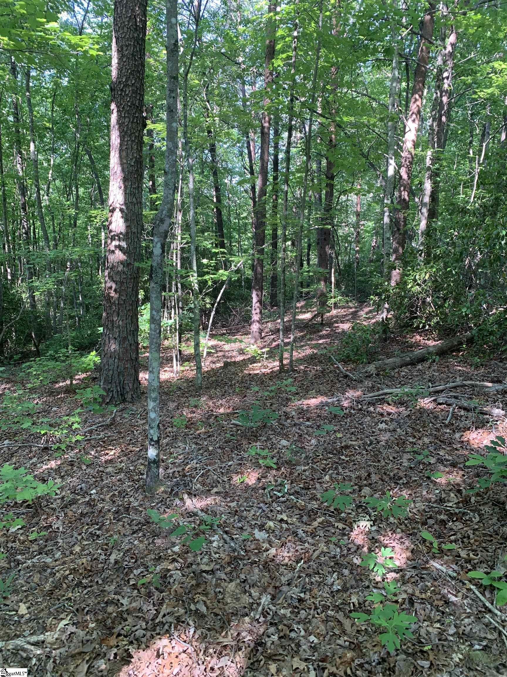 1337 Chinquapin Road