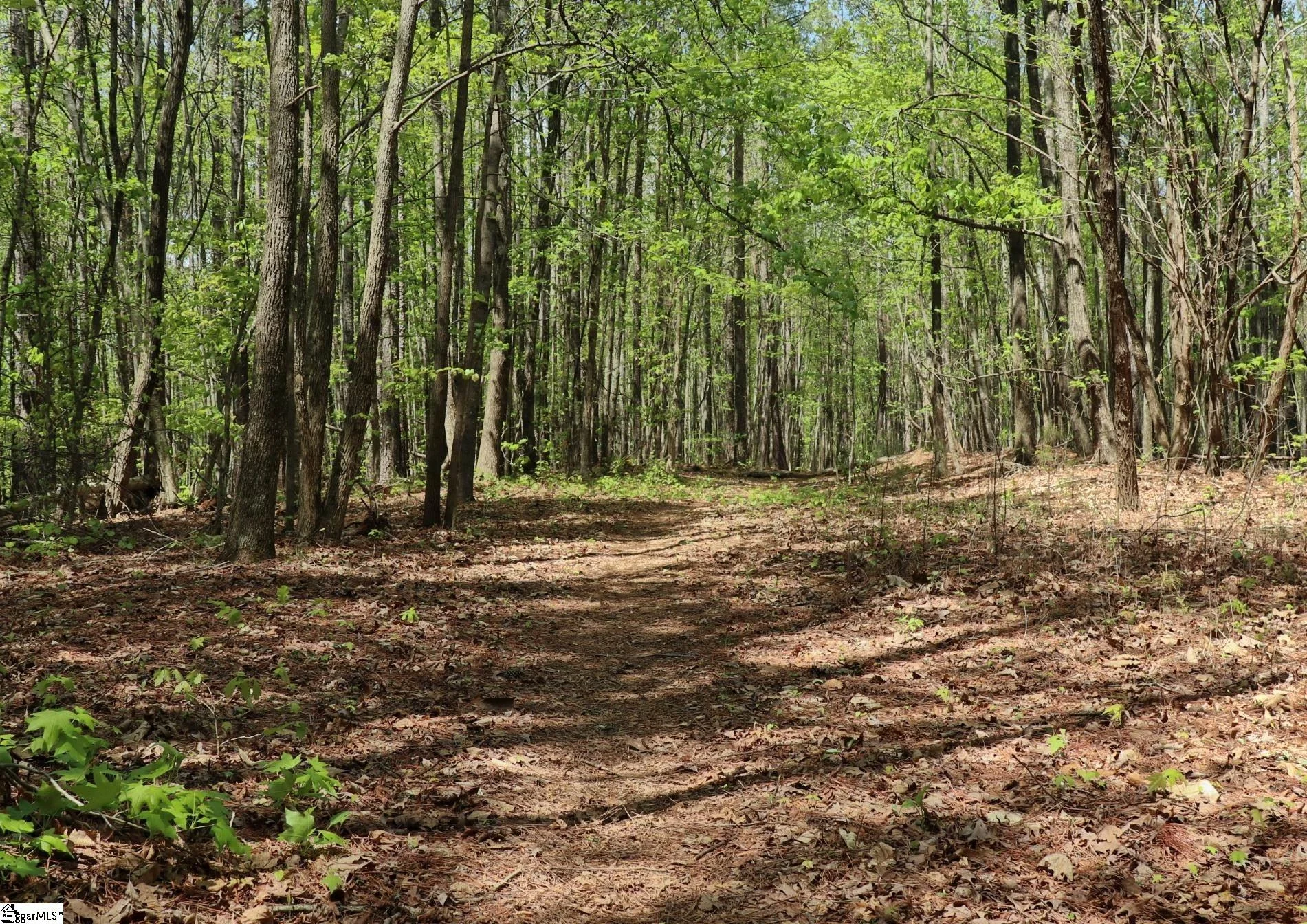 23 Belk Road