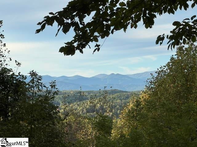 543 Cliffs Vista Parkway