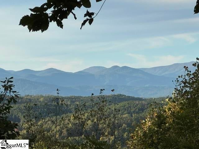 543 Cliffs Vista Parkway
