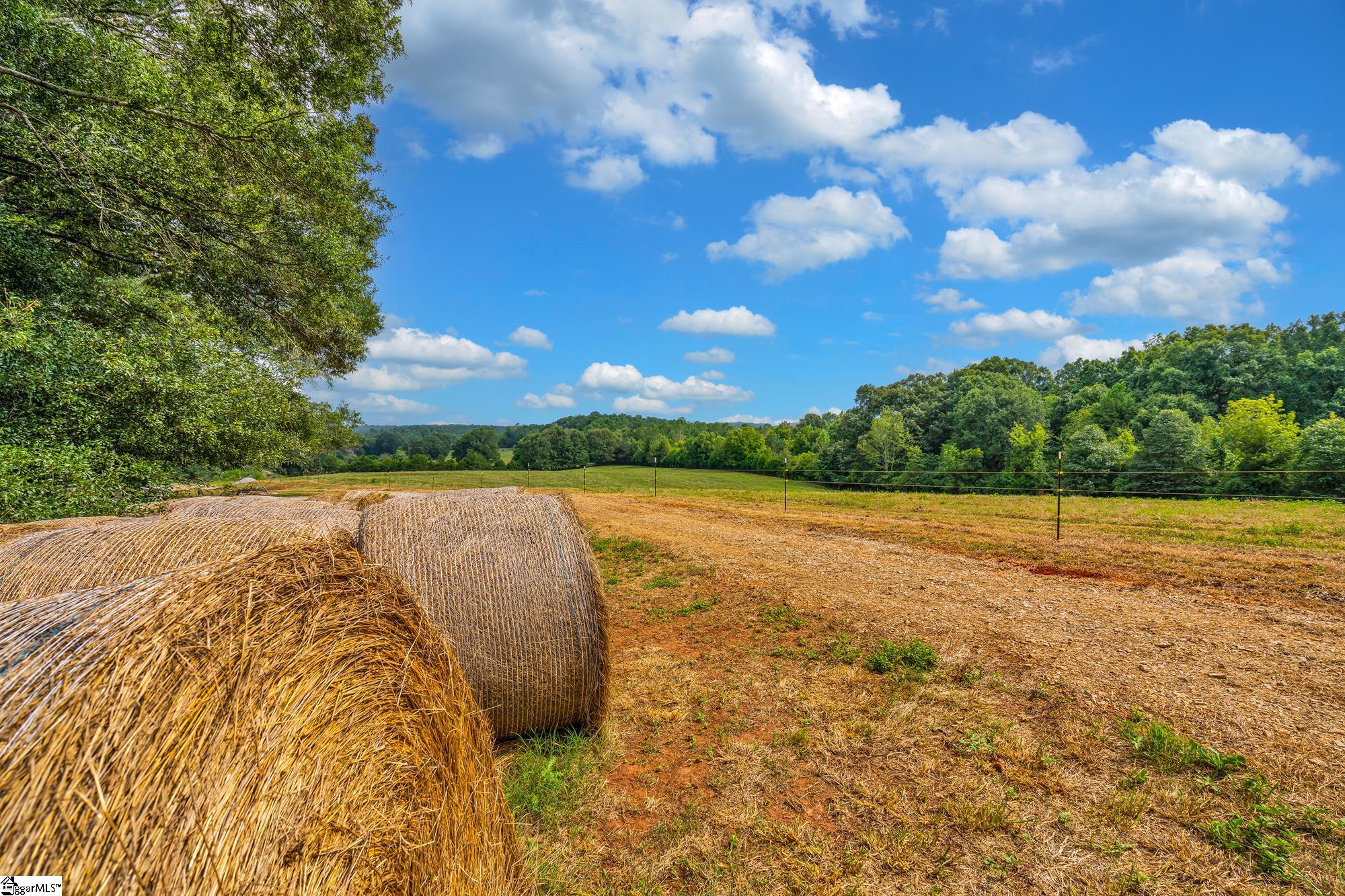 143 George Merck Road