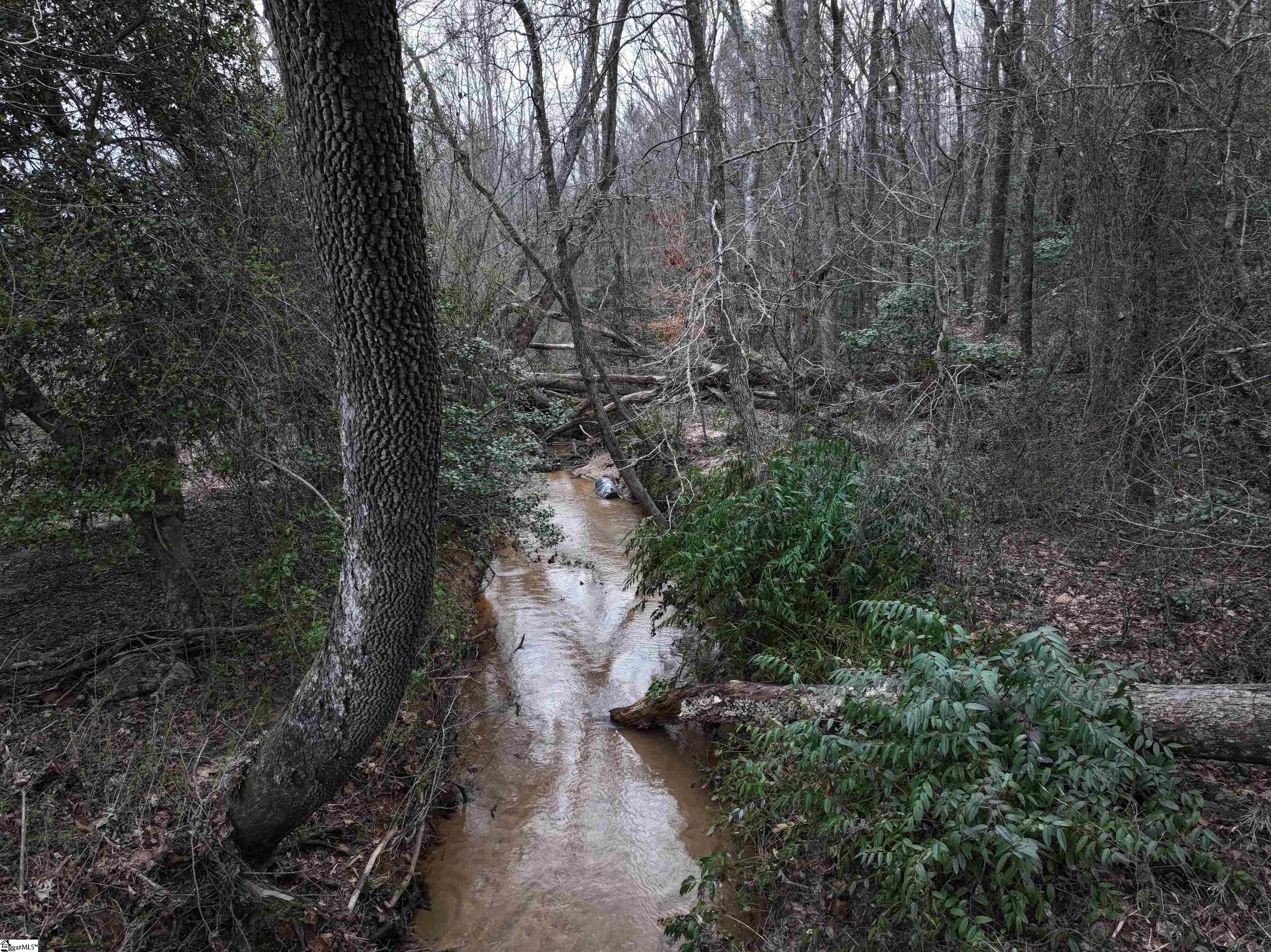 2042 Earls Bridge Road