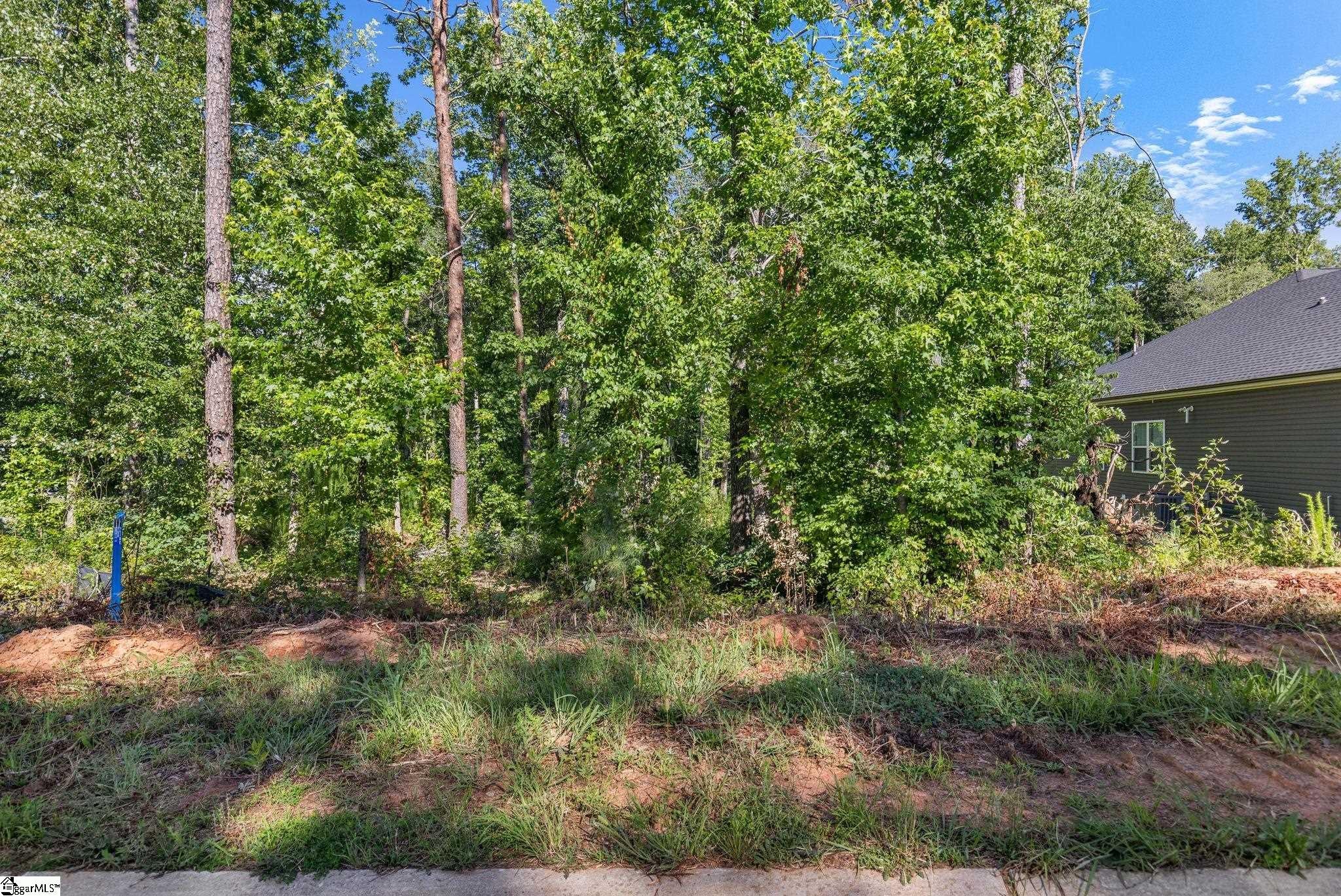 203 Wrenwood Court, Piedmont, SC, 29673