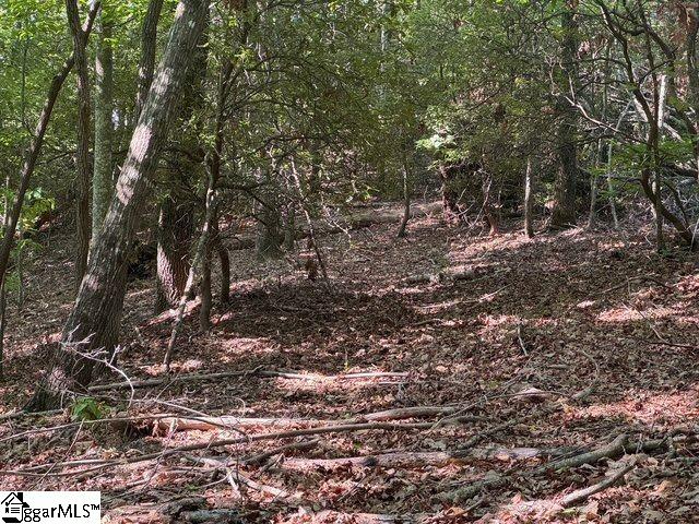 Scenic Mountain Drive