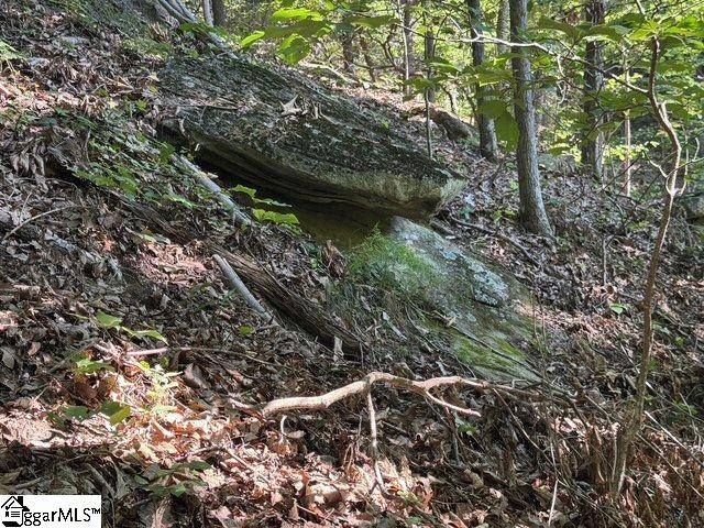 Scenic Mountain Drive