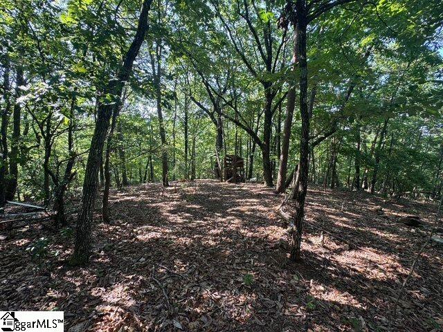 Scenic Mountain Drive