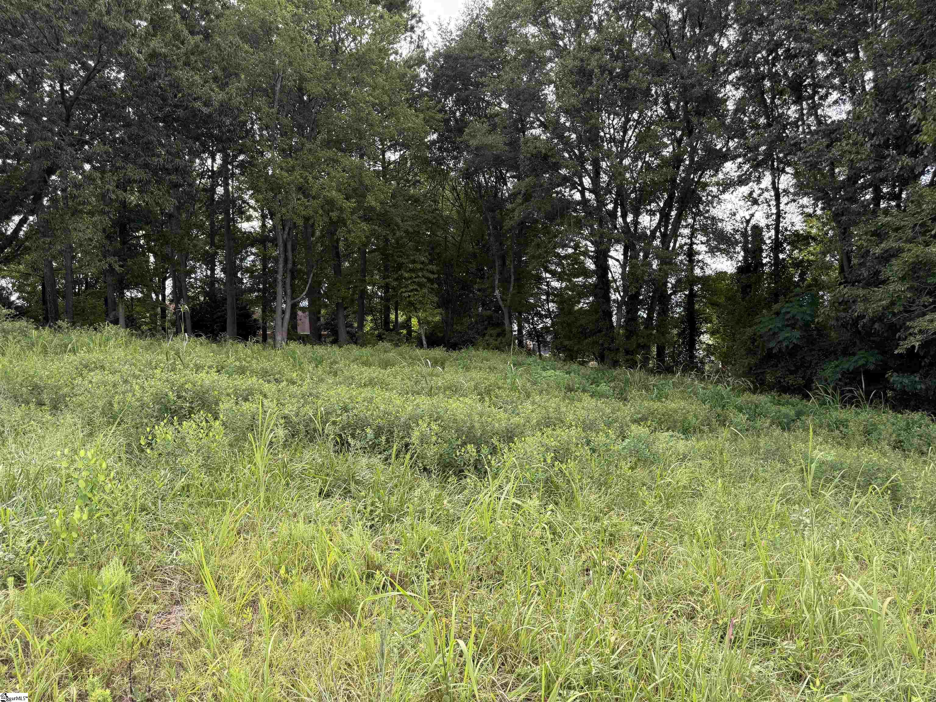 Anderson, South Carolina 29621, United States, ,Land,Active,191320