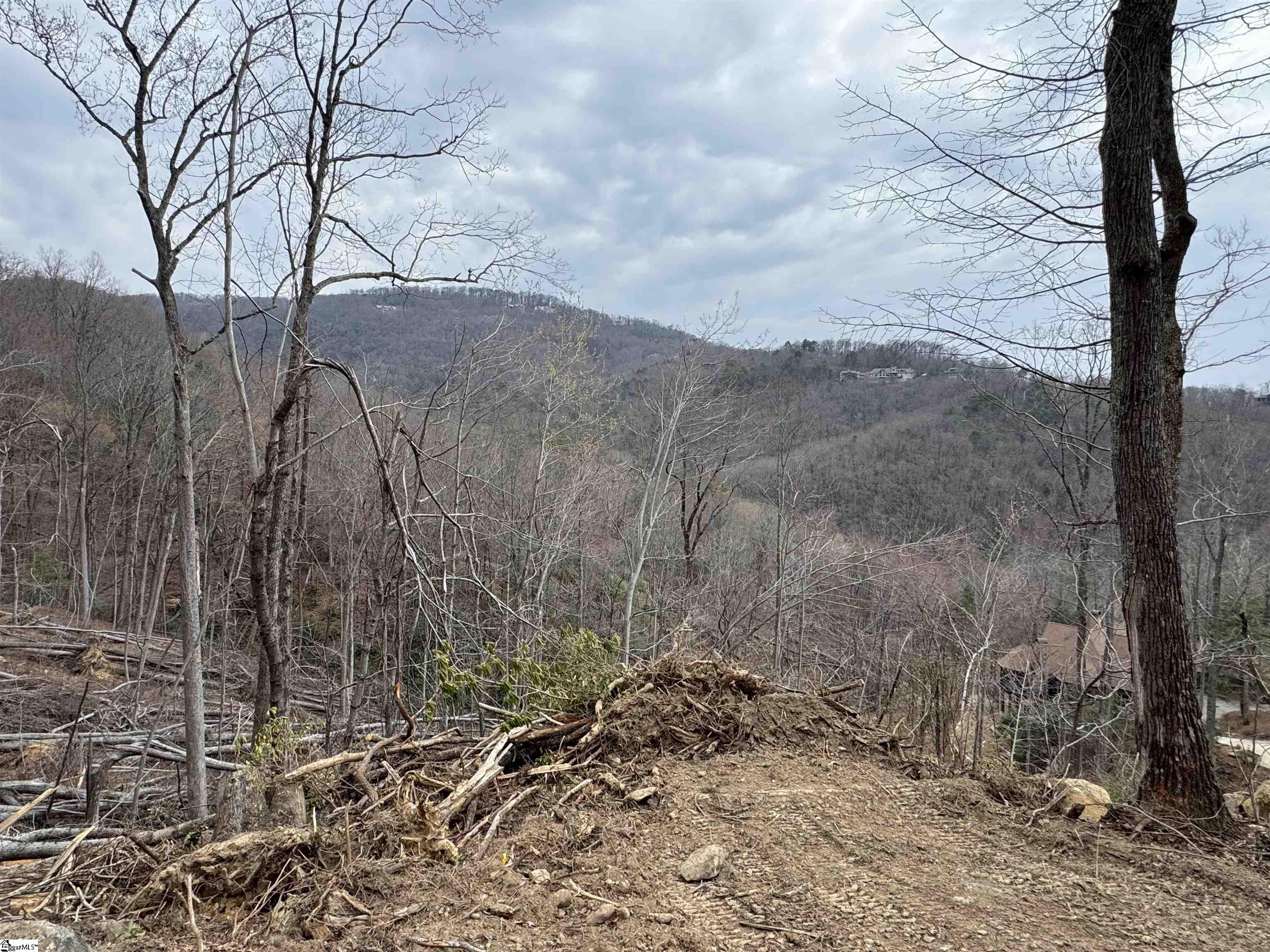 39 Panther Park Trail