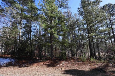 Photo of 212 Amelia Drive, McCormick, SC 29835 (MLS # 1581117)