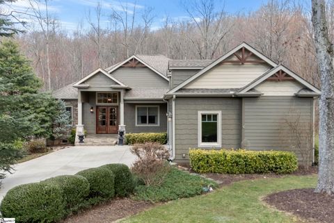 6 Goldeneye Court Landrum SC 29356