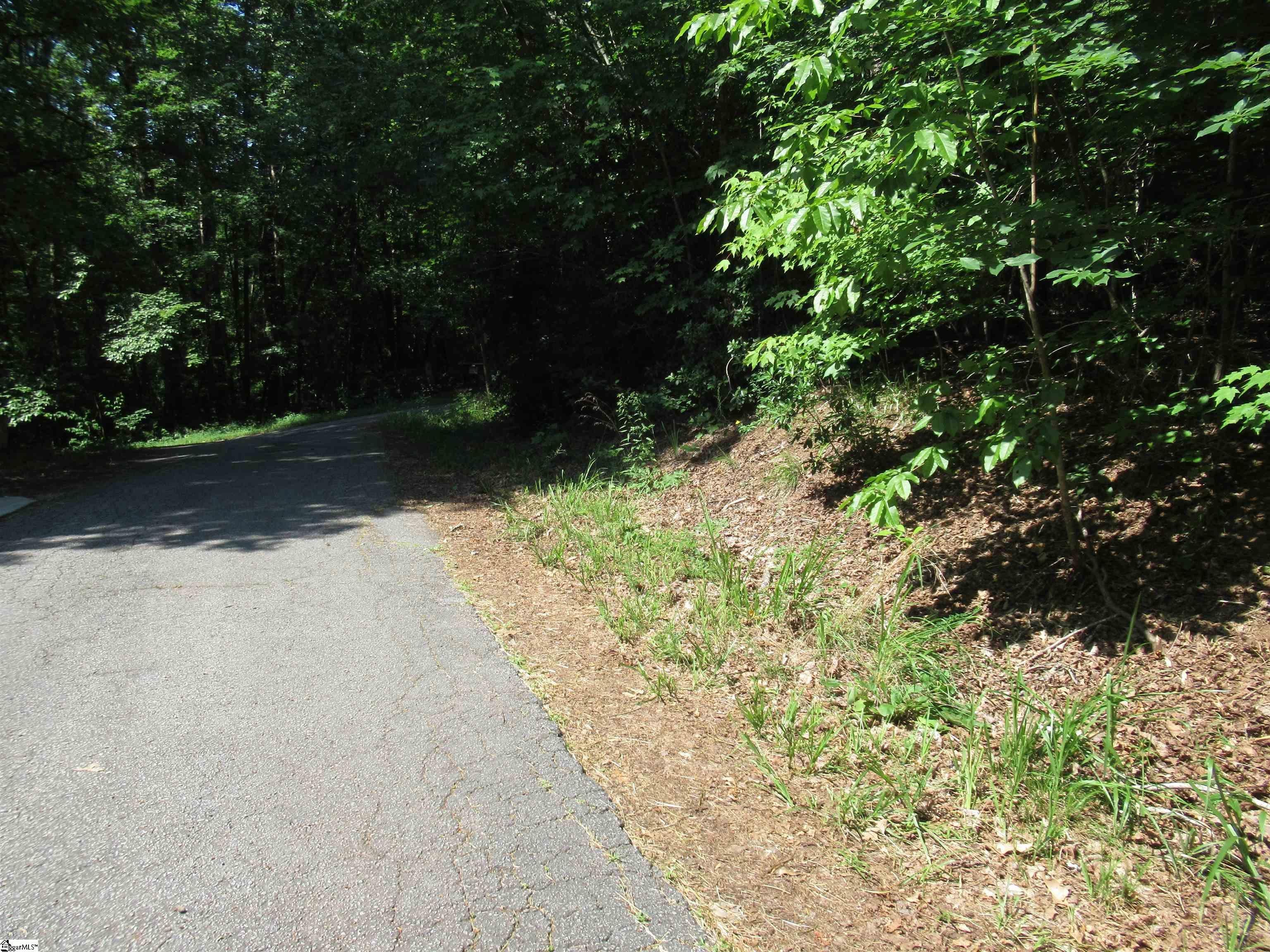 00 Gauley Falls Road Unit Lot 15 Gauley Falls, Pickens, SC, 29671