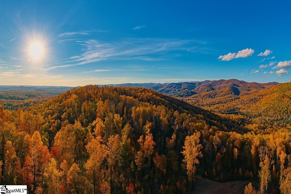 Photo 1 of 10 — 200 Chestnut Mountain Road, Travelers Rest, SC 29660