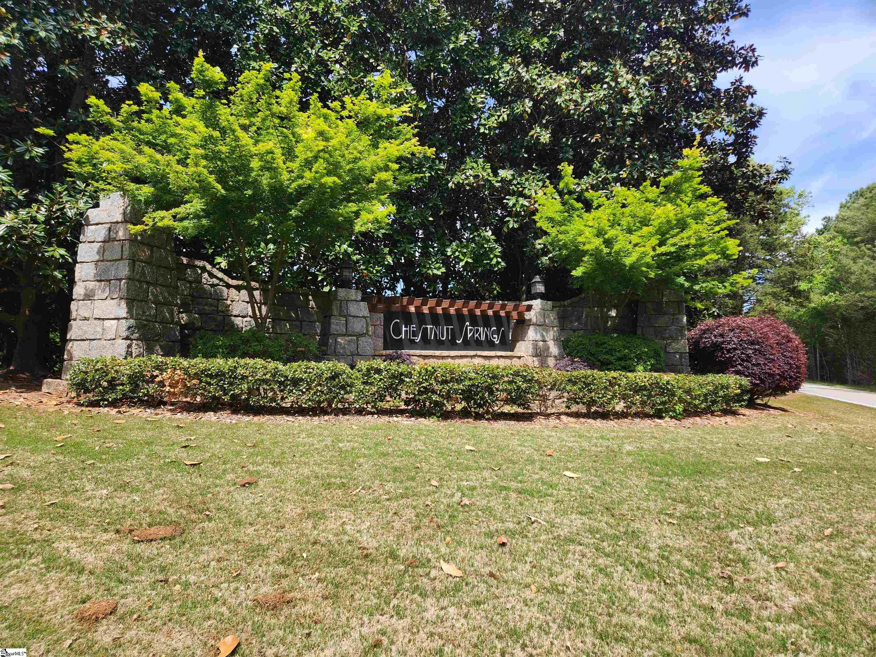 220 Chestnut Springs Way