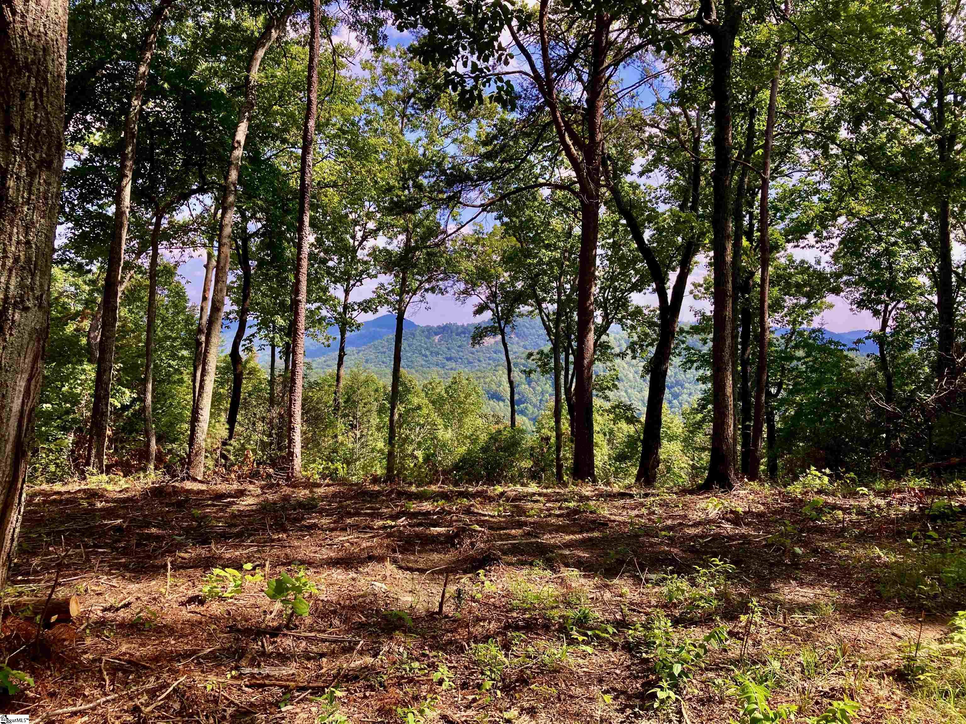 47 Mountain Oak Lane