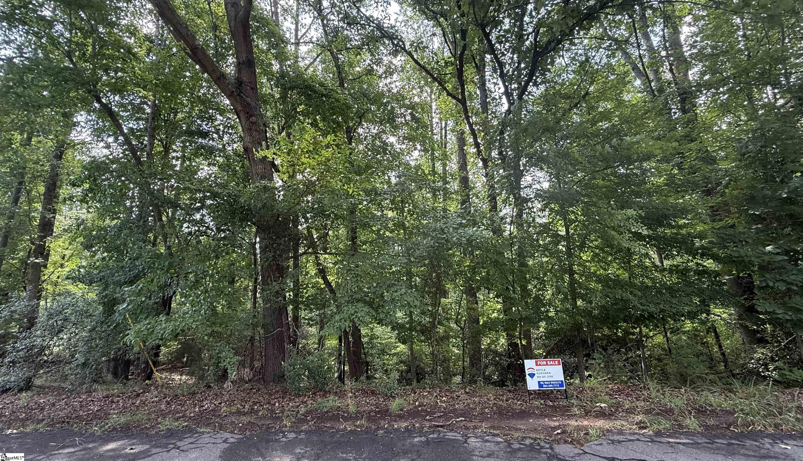 Photo 1 of 2 — Lot 24 Mountain View Drive, Central, SC 29630