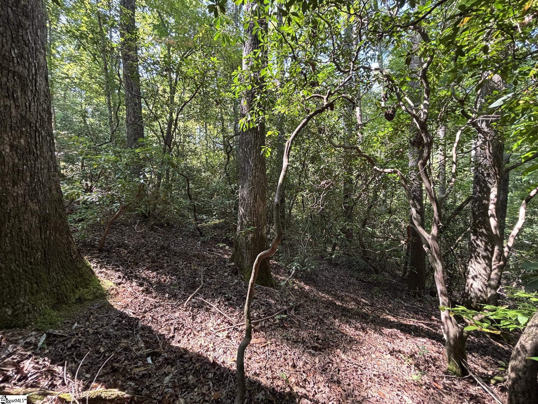 00 Whitewater Lake Road