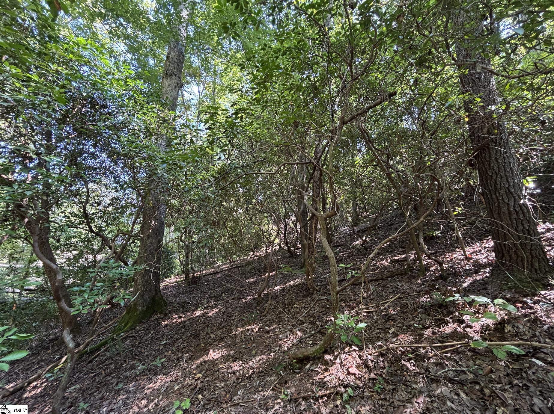 00 Whitewater Lake Road