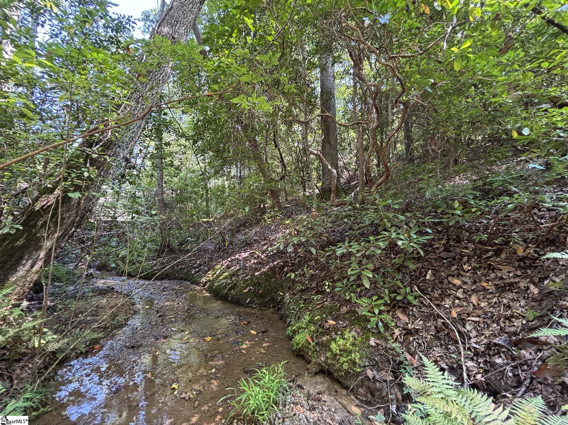 00 Whitewater Lake Road