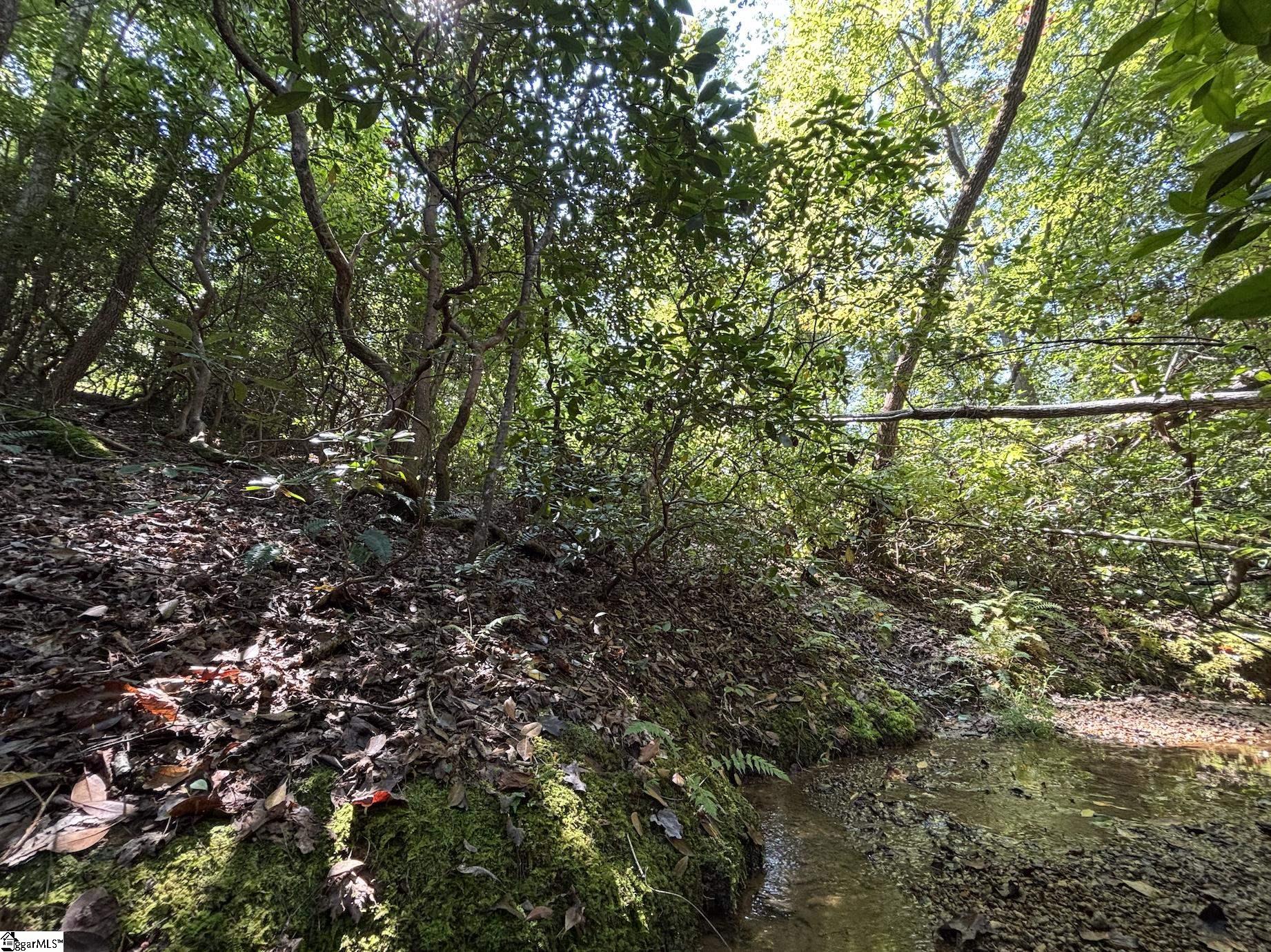 00 Whitewater Lake Road