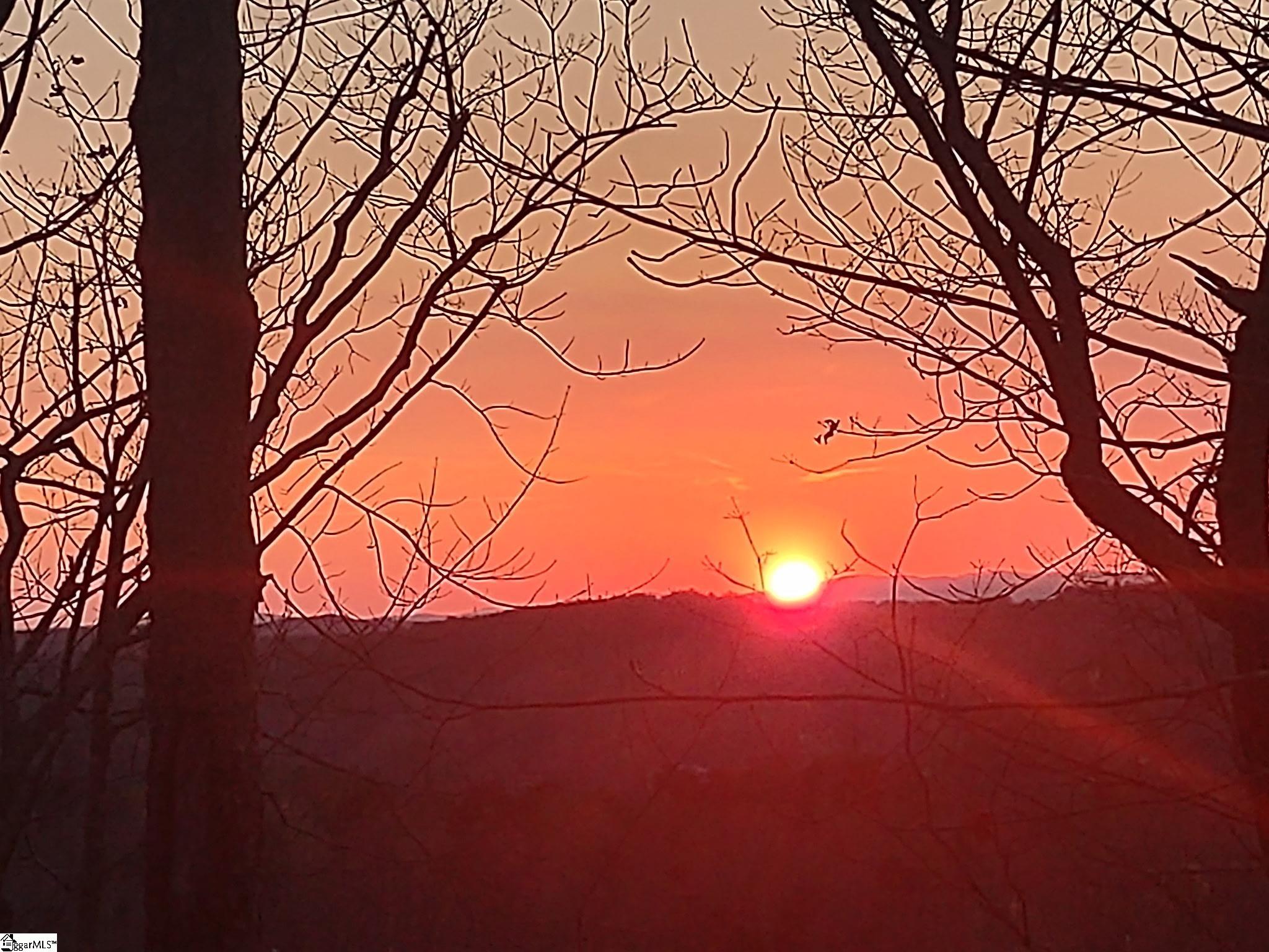 123 Summit Pine